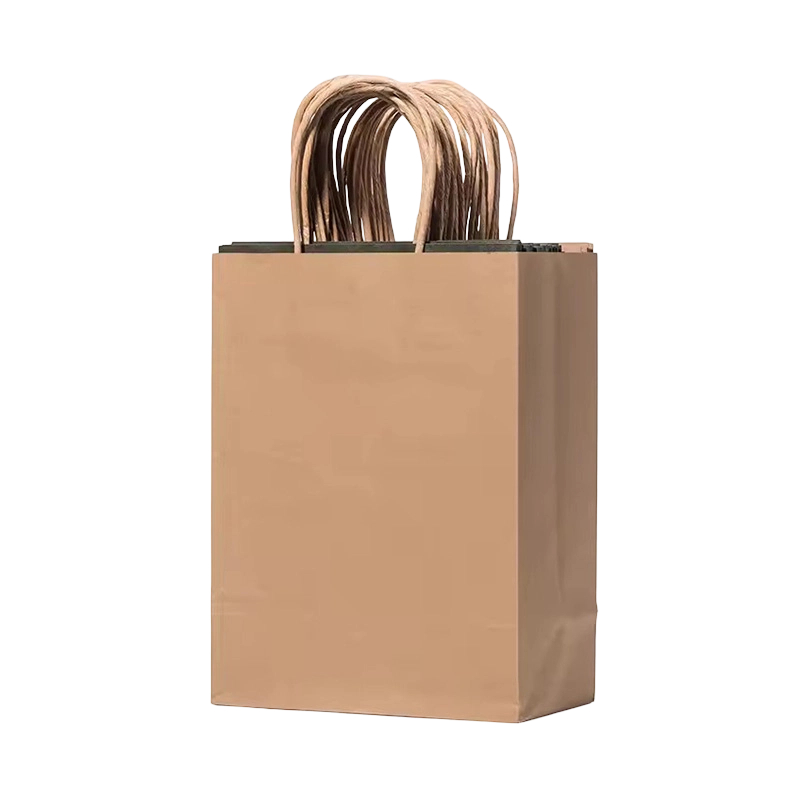 Custom Recycled Paperboard Shopping Gift Bag with Rope Handle